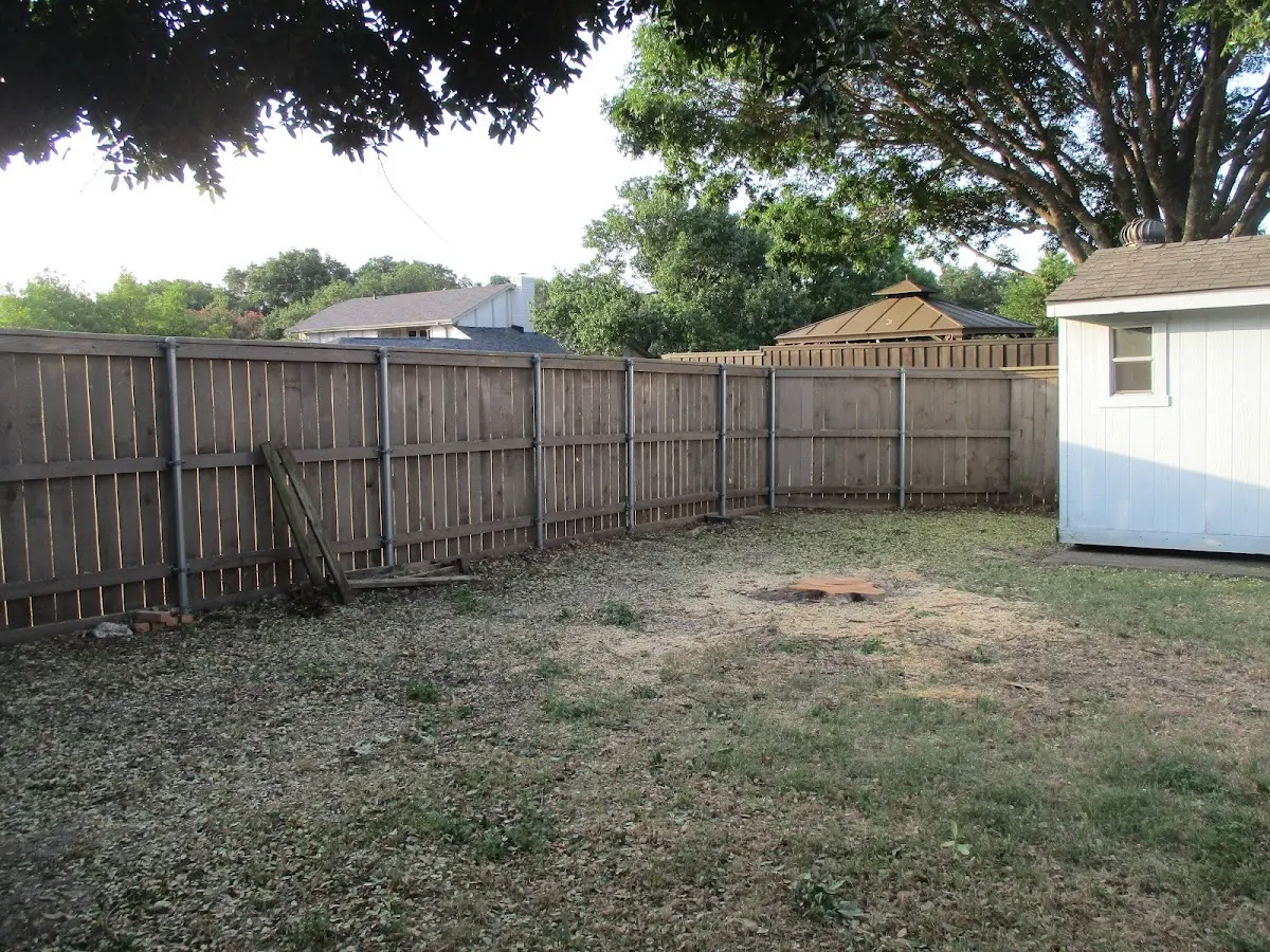 Cleared yard after professional tree removal in Wildwood